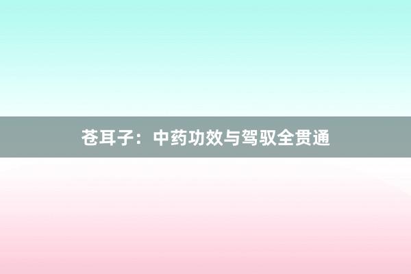 苍耳子:中药功效与驾驭全贯通